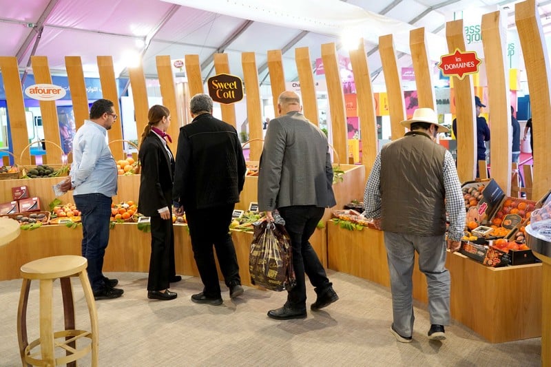 نجاح فاق المتوقع حققه الملتقى الدولي للفلاحة في نسخته السادسة عشر بمكناس ومليون زائر توافدوا على موقع المعرض نجاح فاق المتوقع حققه الملتقى الدولي للفلاحة في نسخته السادسة عشر بمكناس ومليون زائر توافدوا على موقع المعرض