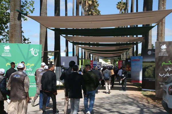 نجاح فاق المتوقع حققه الملتقى الدولي للفلاحة في نسخته السادسة عشر بمكناس ومليون زائر توافدوا على موقع المعرض نجاح فاق المتوقع حققه الملتقى الدولي للفلاحة في نسخته السادسة عشر بمكناس ومليون زائر توافدوا على موقع المعرض