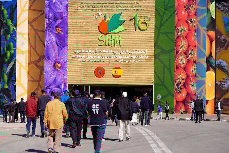 نجاح فاق المتوقع حققه الملتقى الدولي للفلاحة في نسخته السادسة عشر بمكناس ومليون زائر توافدوا على موقع المعرض نجاح فاق المتوقع حققه الملتقى الدولي للفلاحة في نسخته السادسة عشر بمكناس ومليون زائر توافدوا على موقع المعرض