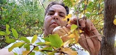 فضائل أهل البيت فضائل أهل البيت