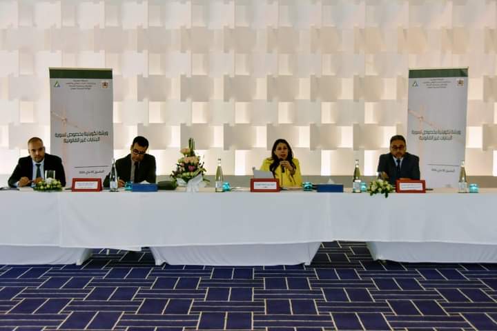 ورشة تكوينية حول تسوية البنايات غير القانونية