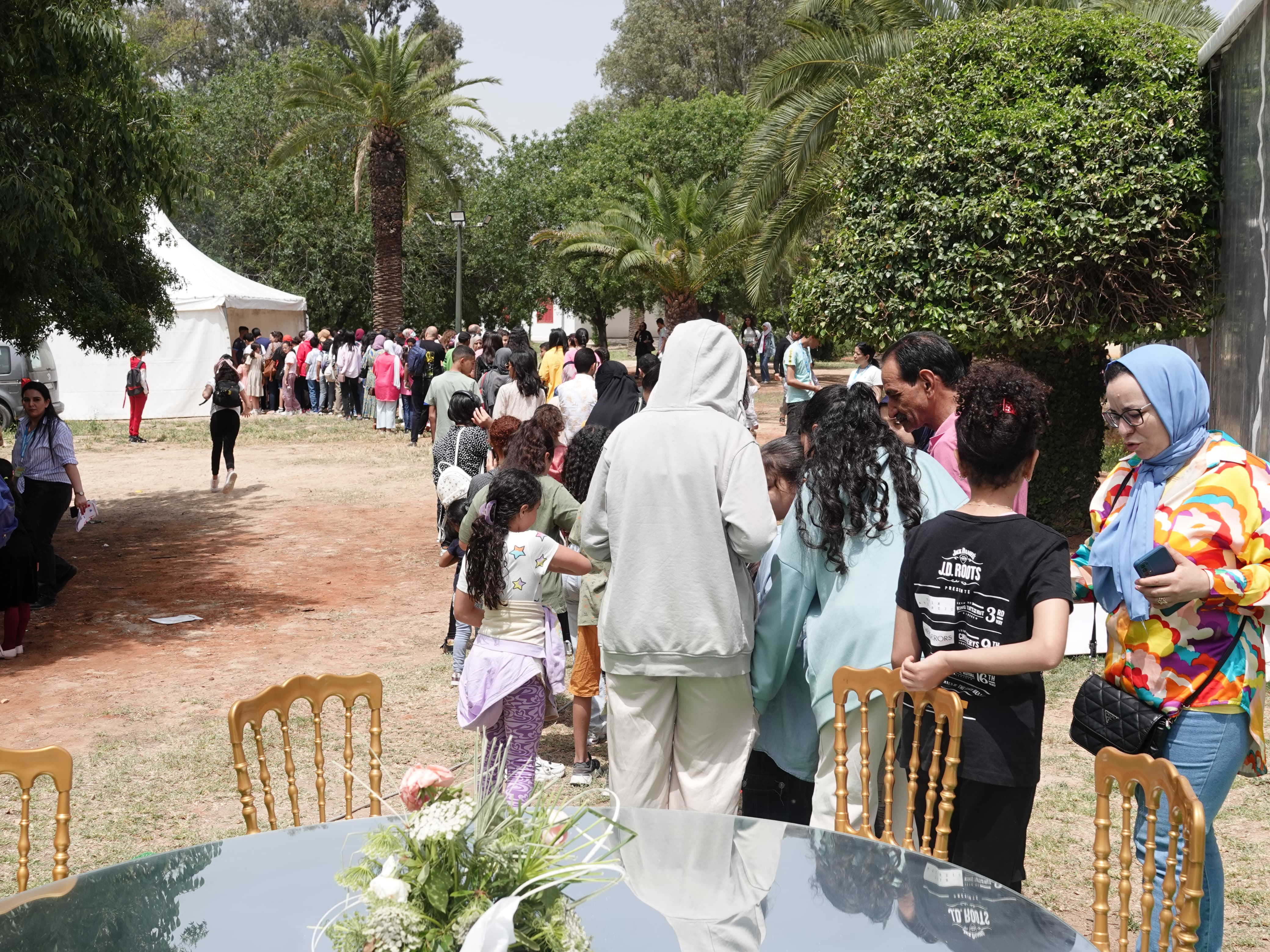 المهرجان الدولي لسينما التحريك (فيكام) المهرجان الدولي لسينما التحريك (فيكام)