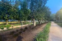 مكناس.. الأميرة للا حسناء تدشن المنتزه التاريخي لحبول مكناس.. الأميرة للا حسناء تدشن المنتزه التاريخي لحبول