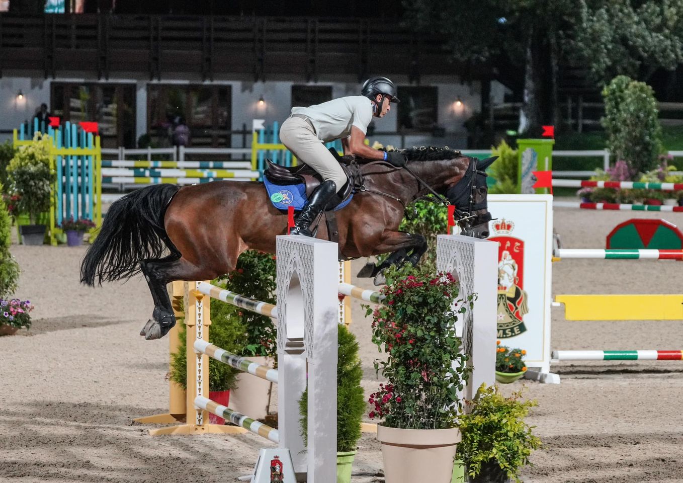 أسبوع الفرس 2024 .. إقصائيات بطولة المغرب العسكرية للقفز على الحواجز .. الرائد زكرياء زوندي يفوز بجائزة القوات المسلحة الملكية أسبوع الفرس 2024 .. إقصائيات بطولة المغرب العسكرية للقفز على الحواجز .. الرائد زكرياء زوندي يفوز بجائزة القوات المسلحة الملكية