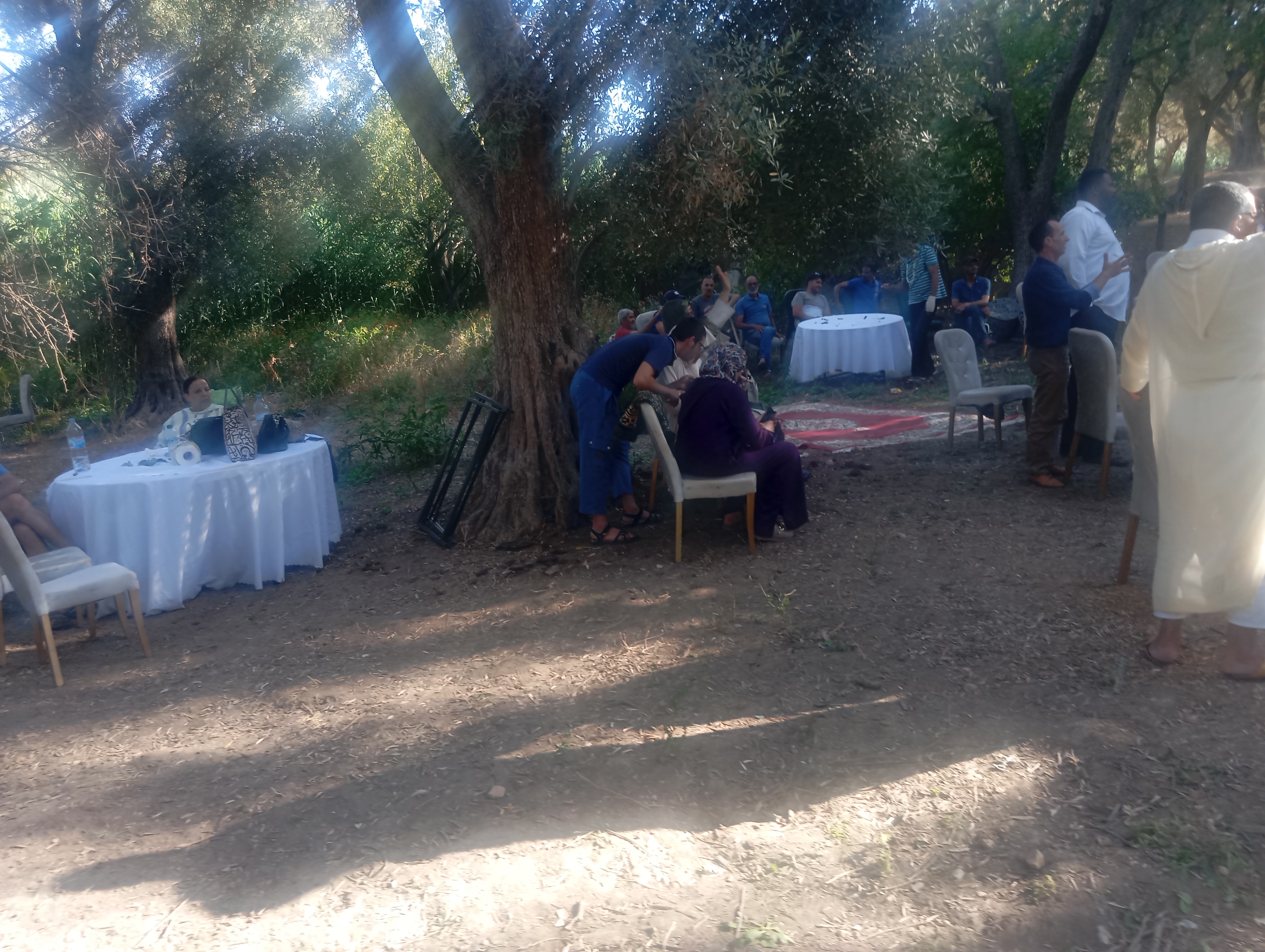 جمعية فضاء مكناس للملحون والتنمية الثقافية والاجتماعية تنظم حفل النزاهة الربيعية جمعية فضاء مكناس للملحون والتنمية الثقافية والاجتماعية تنظم حفل النزاهة الربيعية