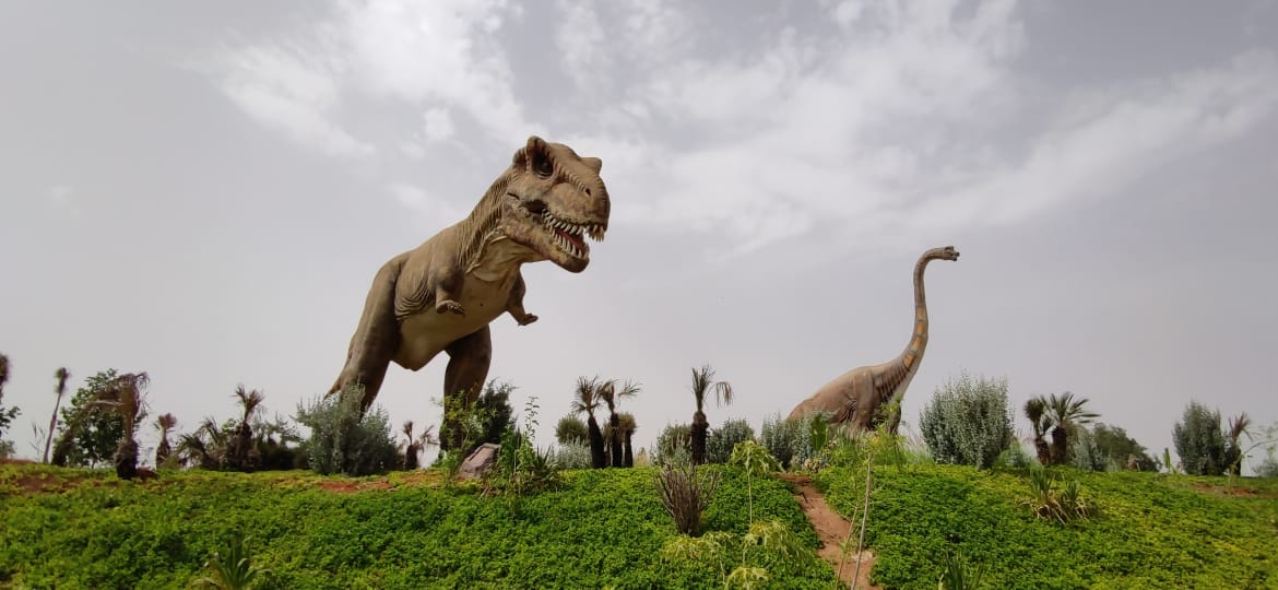 كلف إنجازه ما يفوق 200 مليون درهم ويوفر ازيد من 480 منصب شغل إعطاء الانطلاقة بمكناس كلف إنجازه ما يفوق 200 مليون درهم ويوفر ازيد من 480 منصب شغل إعطاء الانطلاقة بمكناس