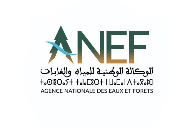 الوكالة الوطنية للمياه والغابات تعتمد التحول الرقمي لتحسين إدارة الأنشطة المرتبطة بالقنص