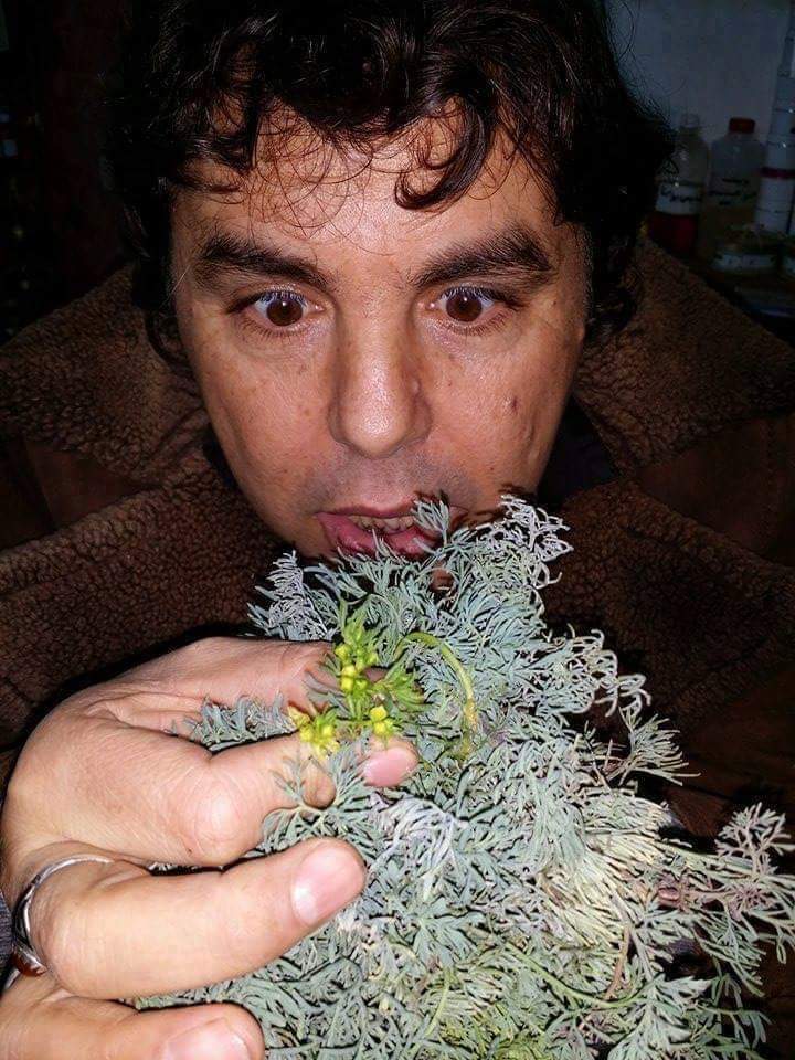 مرة أخرى مع أعشابنا المغربية (( الفيجن )) مرة أخرى مع أعشابنا المغربية (( الفيجن ))