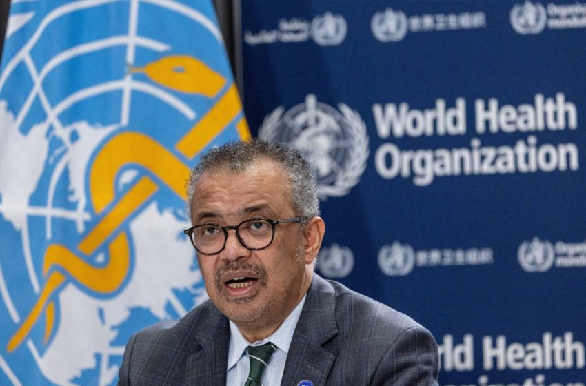 أولى لقاحات جدري القردة تصل إلى الكونغو “في الأيام المقبلة” (مدير منظمة الصحة العالمية) أولى لقاحات جدري القردة تصل إلى الكونغو “في الأيام المقبلة” (مدير منظمة الصحة العالمية)