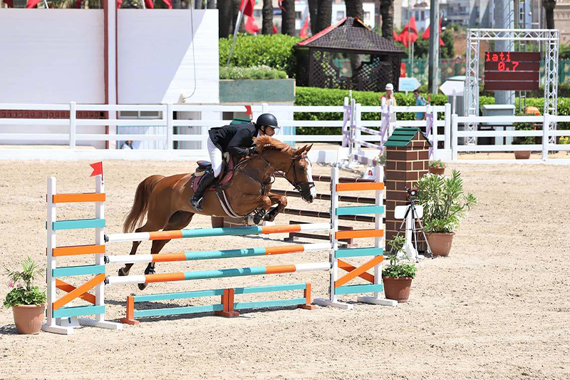 انطلاق منافسات المباراة الرسمية للقفز على الحواجز 3 نجوم بالمدرسة الملكية للخيالة بتمارة انطلاق منافسات المباراة الرسمية للقفز على الحواجز 3 نجوم بالمدرسة الملكية للخيالة بتمارة