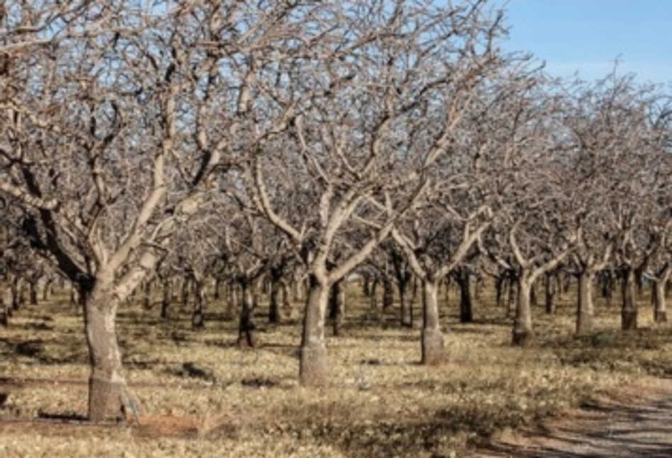 من فينا اقتحم العقبة ؟؟
