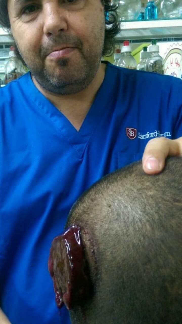 الخريطة الخاصة بتقوية الذاكرة