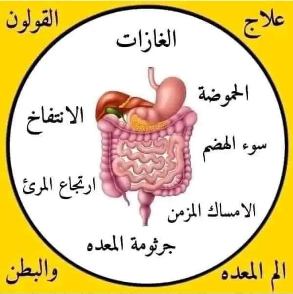 علاج القولون العصبي علاج القولون العصبي