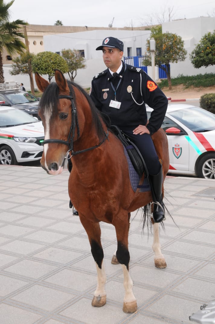 ولاية أمن مكناس..... تدابير وإجراءات أمنية لضمان الأمن والسلامة للمواطنين بمناسبة احتفالات راس السنة الميلادية الجديدة 2025