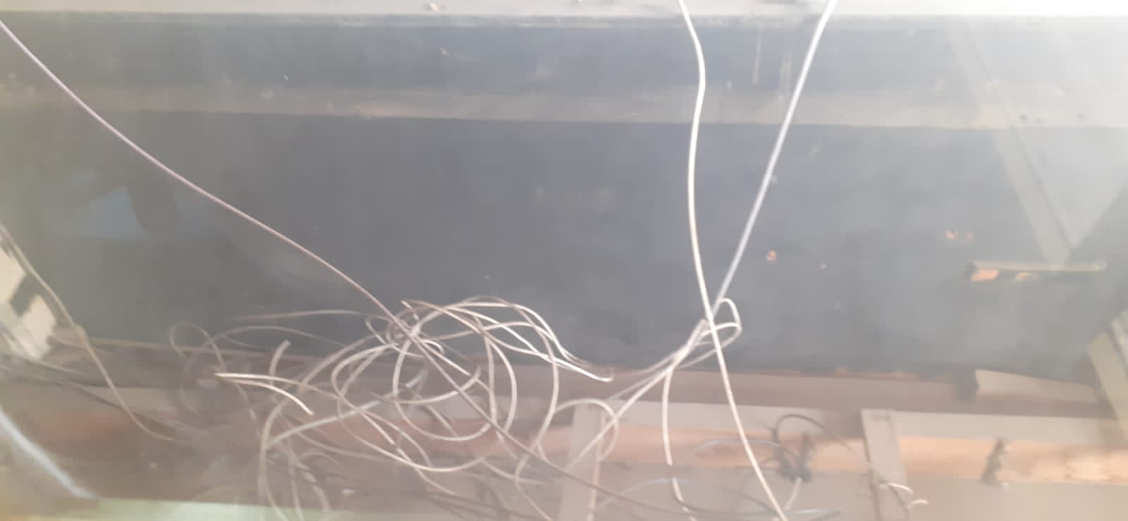 إقامة بالمدينة الجديدة تتواجد بساحة الوحدة الإفريقية تشتكي من مقهى تحتل عموم ممر الراجلين.