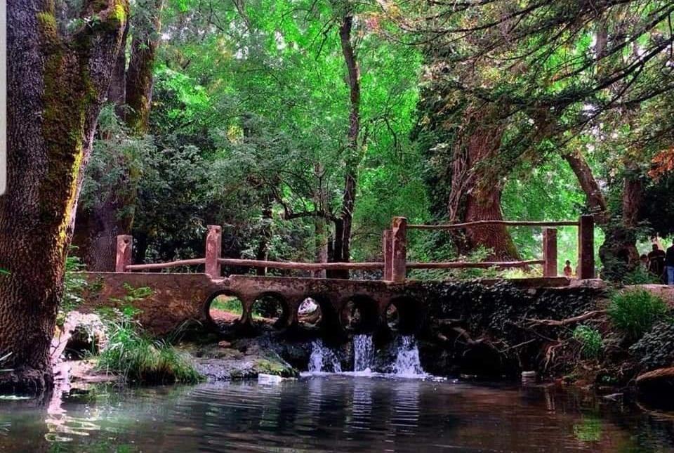 المنتزه الوطني لإفران ينتعش بعد أمطار الخير