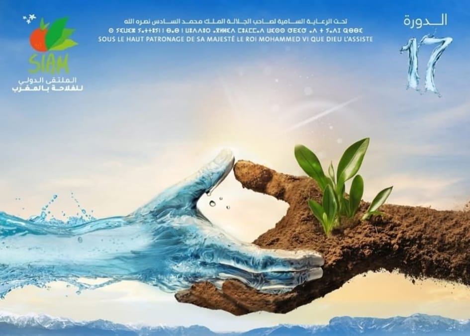 مكناس في يوم من افتتاح الملتقى الفلاحي الدولي بالمغرب. مكناس في يوم من افتتاح الملتقى الفلاحي الدولي بالمغرب.