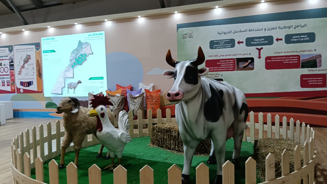 نجاح الملتقى الدولي الفلاحي بالمغرب من نجاحات مدينة مكناس.