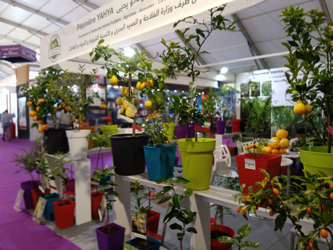 نجاح الملتقى الدولي الفلاحي بالمغرب من نجاحات مدينة مكناس.