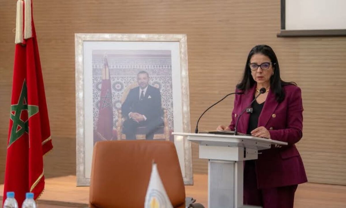 تبادل الخبرات في مجال الحكامة في صلب التعاون المغربي الإفريقي (السيدة السغروشني) تبادل الخبرات في مجال الحكامة في صلب التعاون المغربي الإفريقي (السيدة السغروشني)