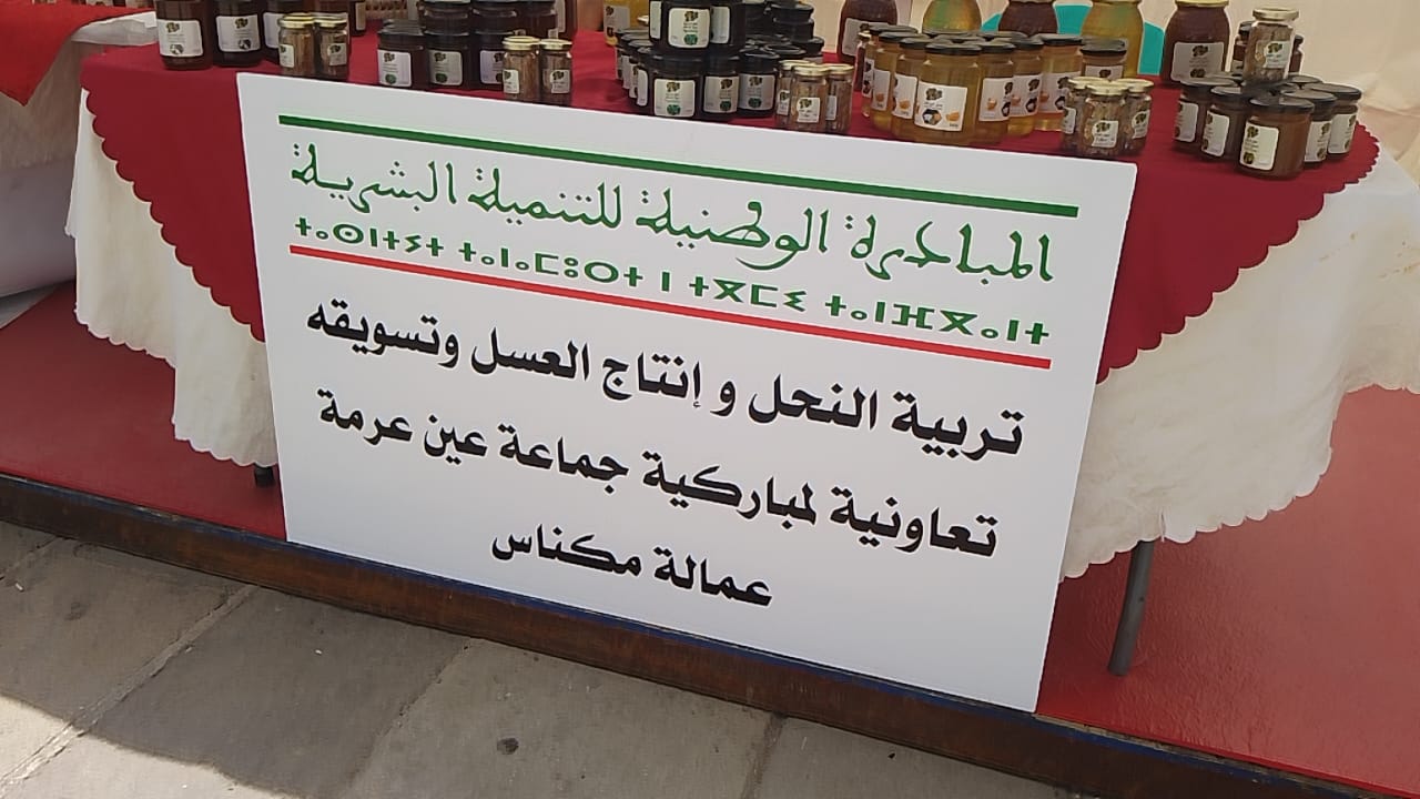 20 سنة من العطاء المتواصل: عمالة مكناس تحتفي بالذكرى العشرين لانطلاق المبادرة الوطنية للتنمية البشري