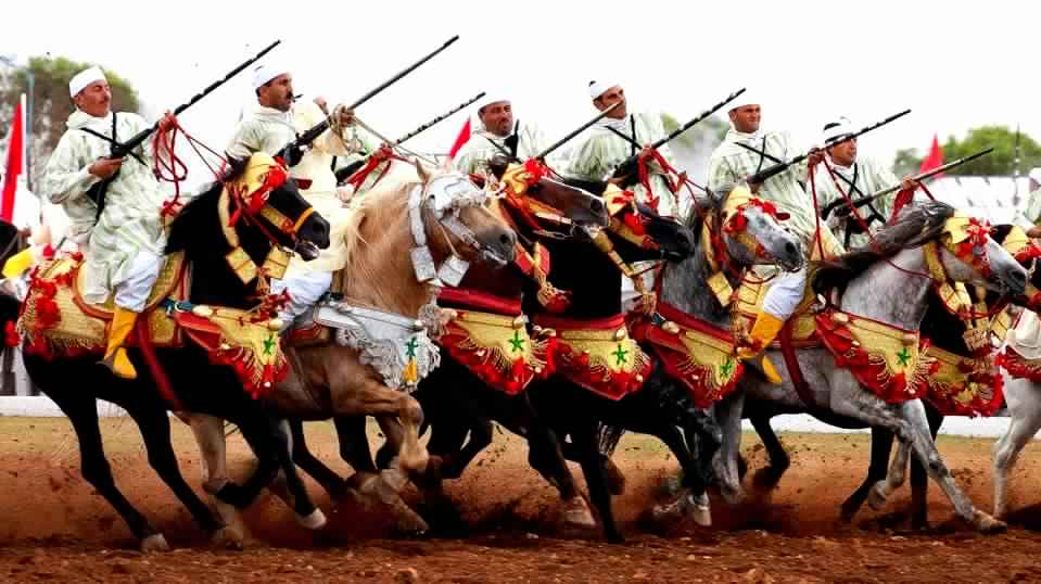 الرباط.. انطلاق الدورة الـ 24 لجائزة الحسن الثاني لفنون الفروسية التقليدية “التبوريدة”