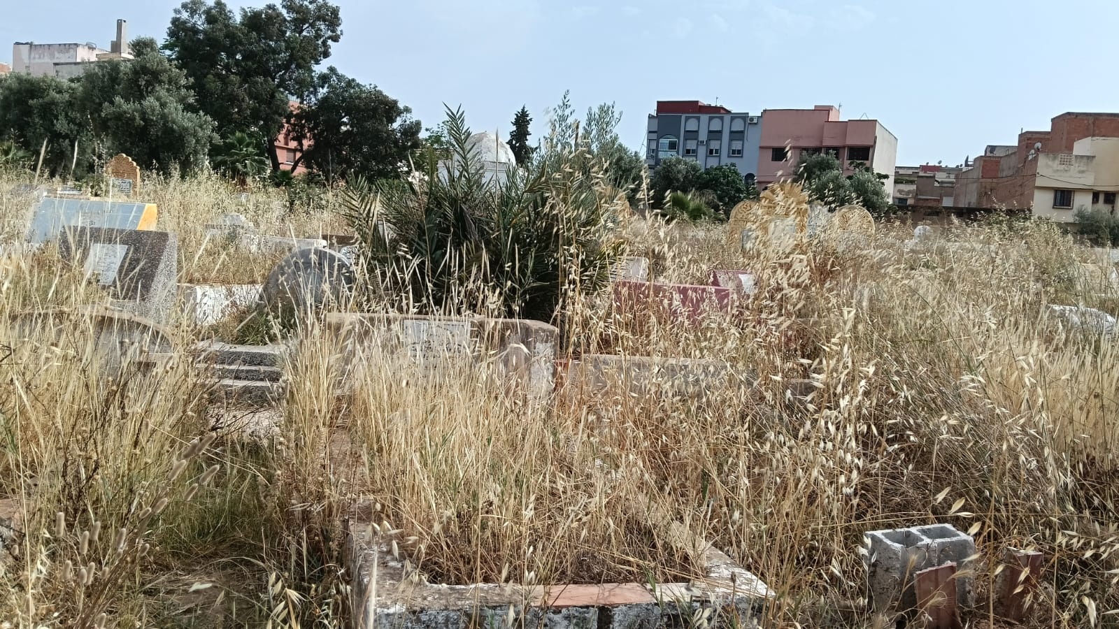 حي الزيتون: والتهميش والإهمال المزدوج الذي يصيب الأحياء والموتى.