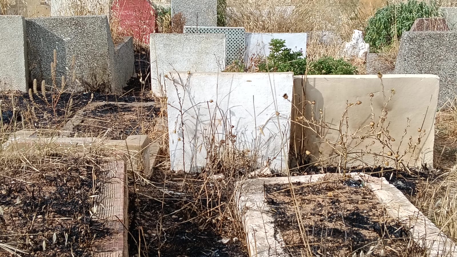 حي الزيتون: والتهميش والإهمال المزدوج الذي يصيب الأحياء والموتى.