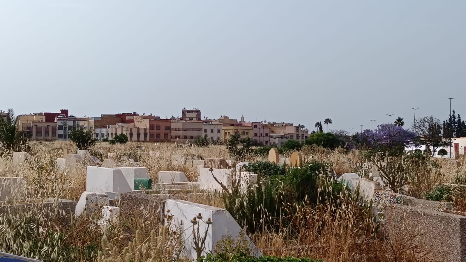 حي الزيتون: والتهميش والإهمال المزدوج الذي يصيب الأحياء والموتى.