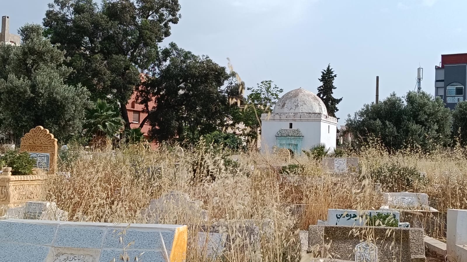 حي الزيتون: والتهميش والإهمال المزدوج الذي يصيب الأحياء والموتى.