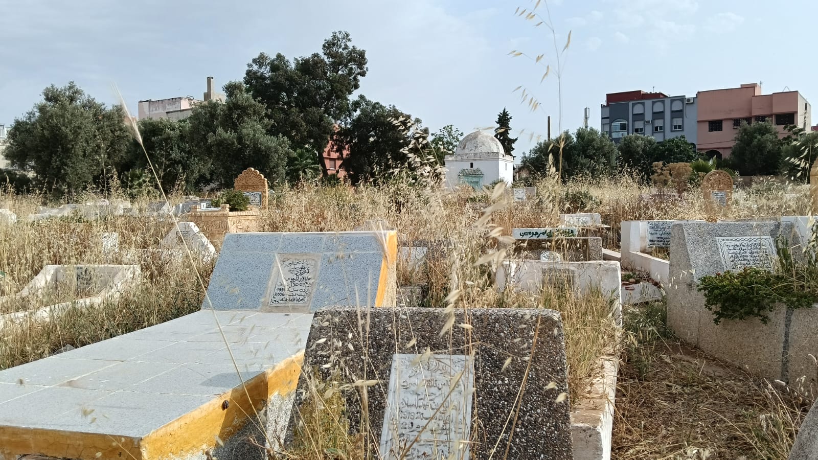 حي الزيتون: والتهميش والإهمال المزدوج الذي يصيب الأحياء والموتى.