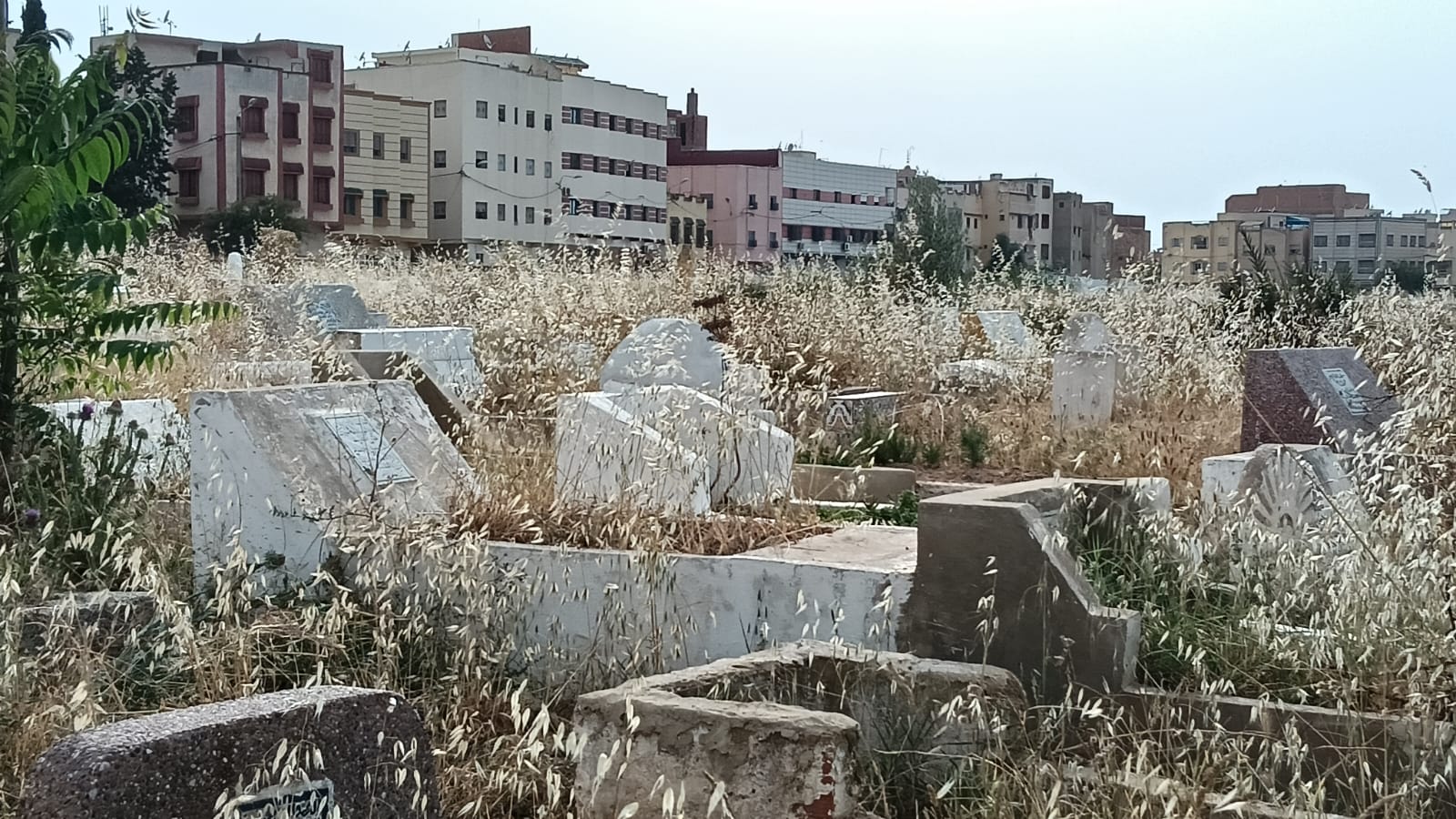 حي الزيتون: والتهميش والإهمال المزدوج الذي يصيب الأحياء والموتى.