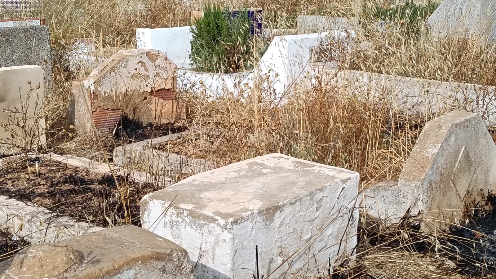 حي الزيتون: والتهميش والإهمال المزدوج الذي يصيب الأحياء والموتى.