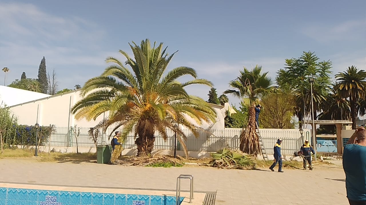 إعلان افتتاح المسبح البلدي الحبّول في مكناس لصيف 2025