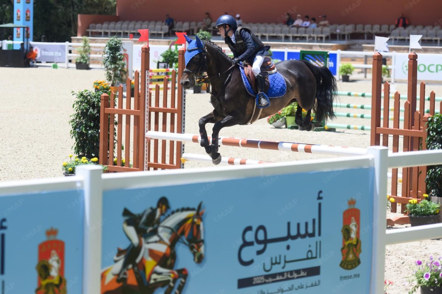 انطلاق الدورة الـ 40 لأسبوع الفرس بدار السلام بالرباط