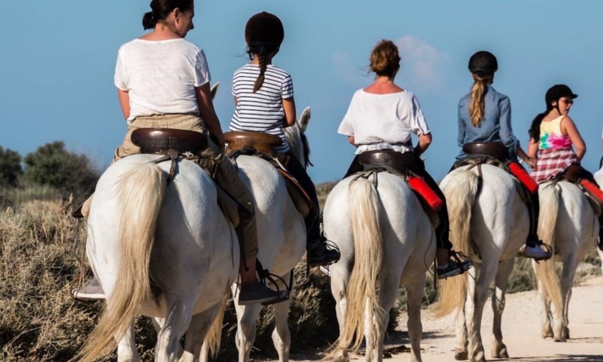 إفران على موعد مع أول معرض لسياحة الفروسية والسياحة البيئية