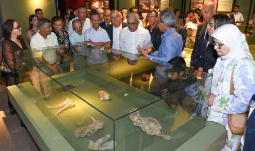 الدار البيضاء.. افتتاح المنتزه الأركيولوجي سيدي عبد الرحمان أمام العموم بعرض 