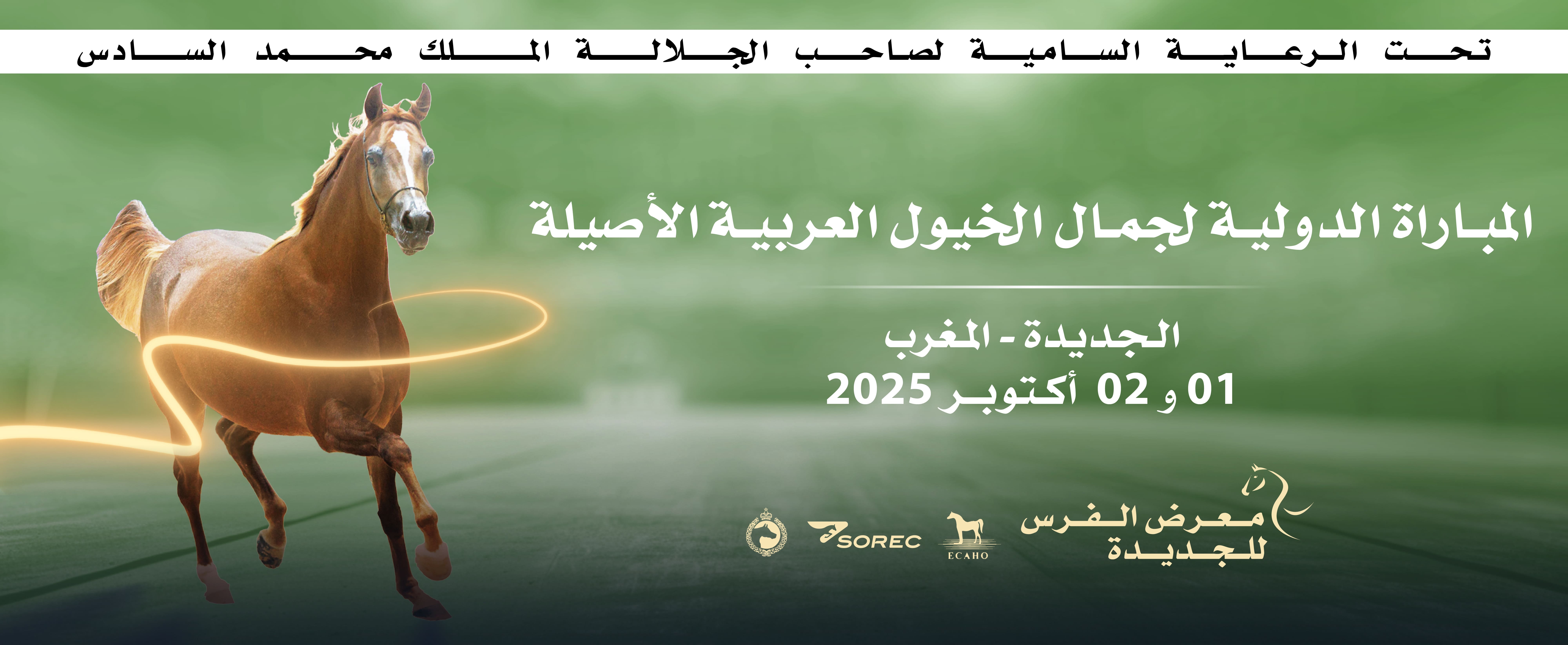 الدورة ال16 لمعرض الفرس للجديدة تستضيف المباراة الدولية “Title Show” لجمال الخيول العربية الأصيلة الدورة ال16 لمعرض الفرس للجديدة تستضيف المباراة الدولية “Title Show” لجمال الخيول العربية الأصيلة