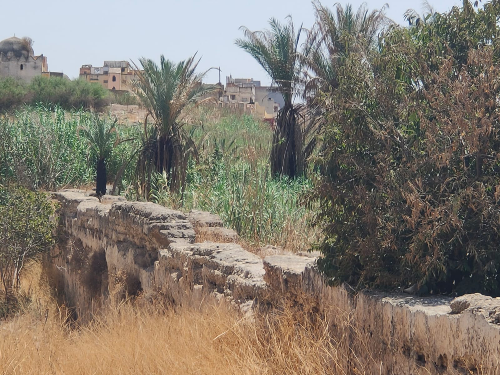 متى سيتم تنزيل البرنامج التكميلي لتثمين المدينة العتيقة لمكناس والأحواز؟ متى سيتم تنزيل البرنامج التكميلي لتثمين المدينة العتيقة لمكناس والأحواز؟