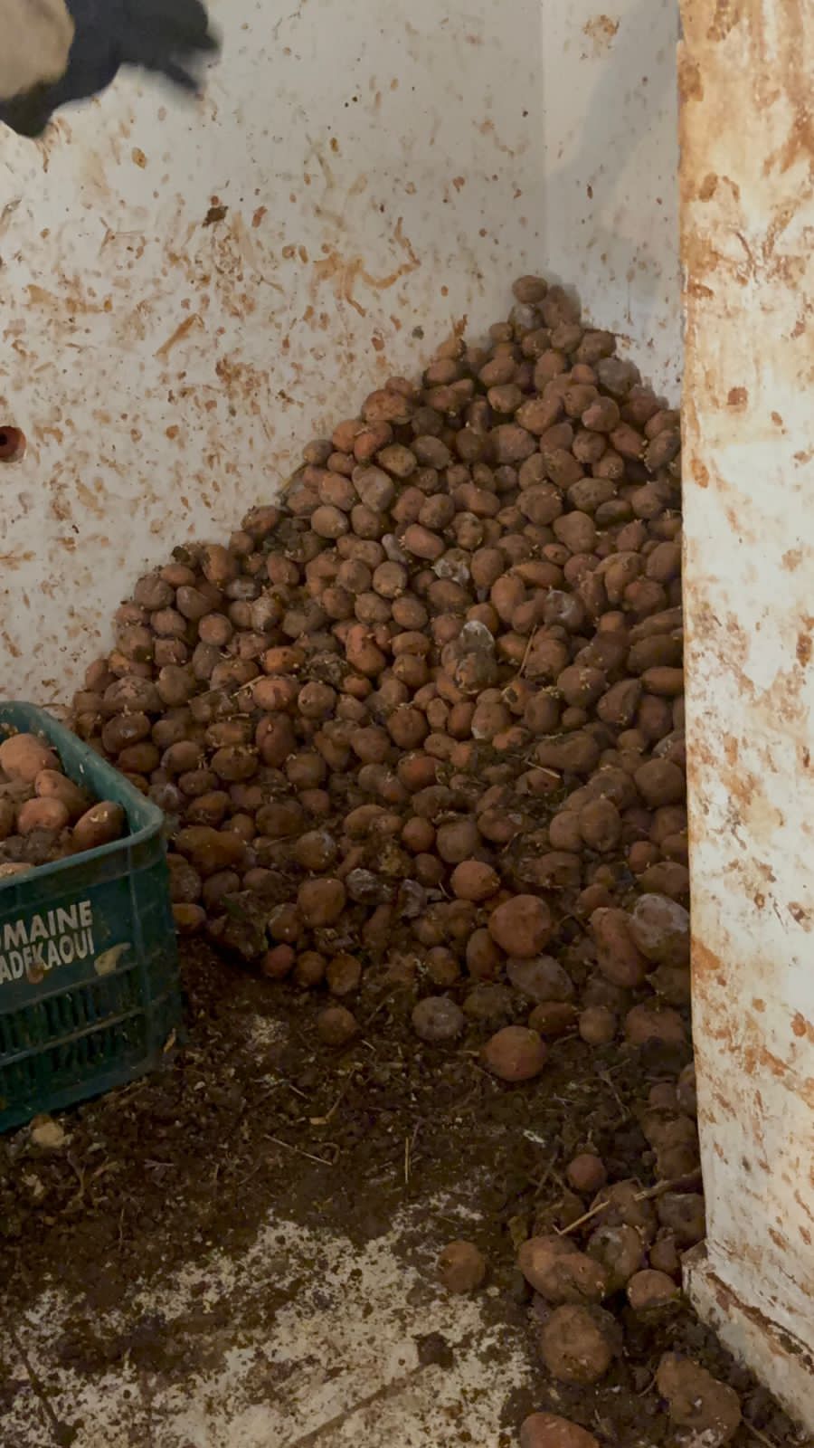 قائد مقاطعة طابولة بتطوان يضرب بيد من حديد ويطيح بمعمل 