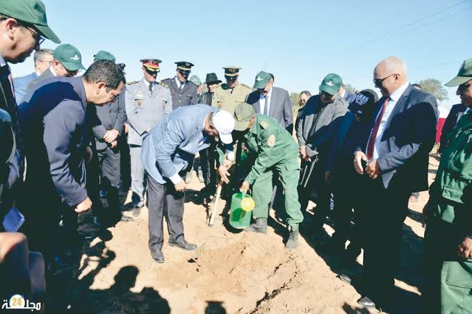 المغرب يطلق مبادرة وطنية للتشجير لمواجهة التغيرات المناخية