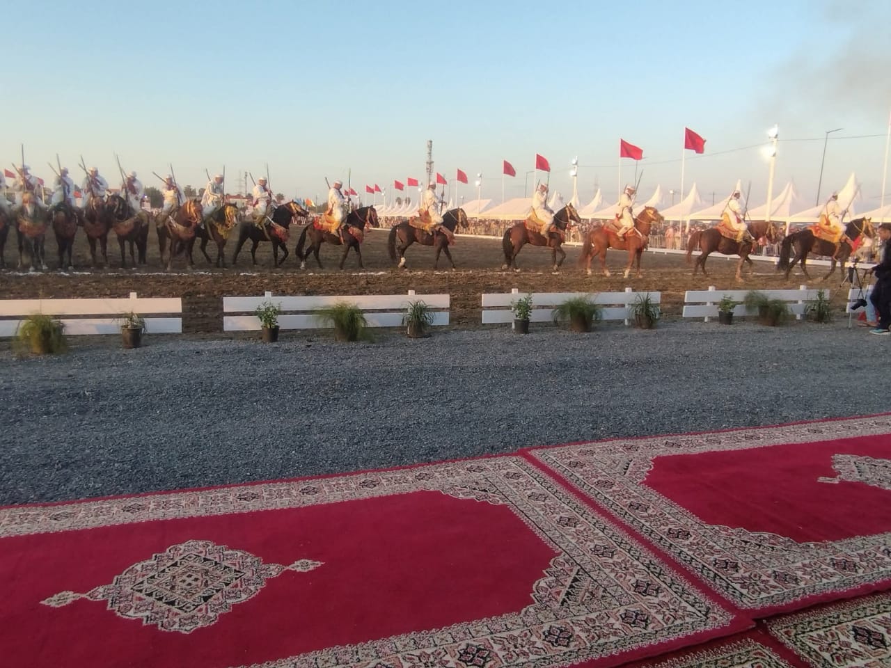 المهرجان الوطني للفرس بجماعة المكرن اقليم القنيطرة