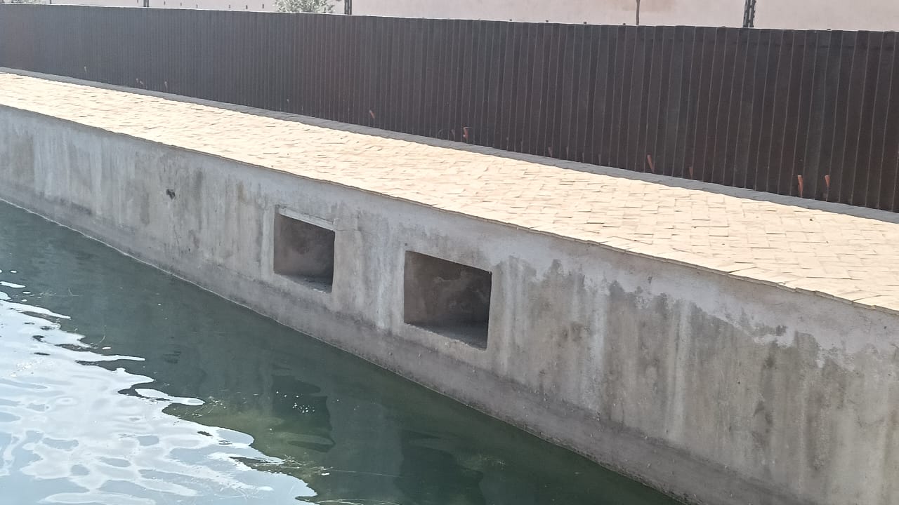 نباتات تطفو على سطح  صهريج السواني والحلول الممكنة لكي لا تعفن مياهه.