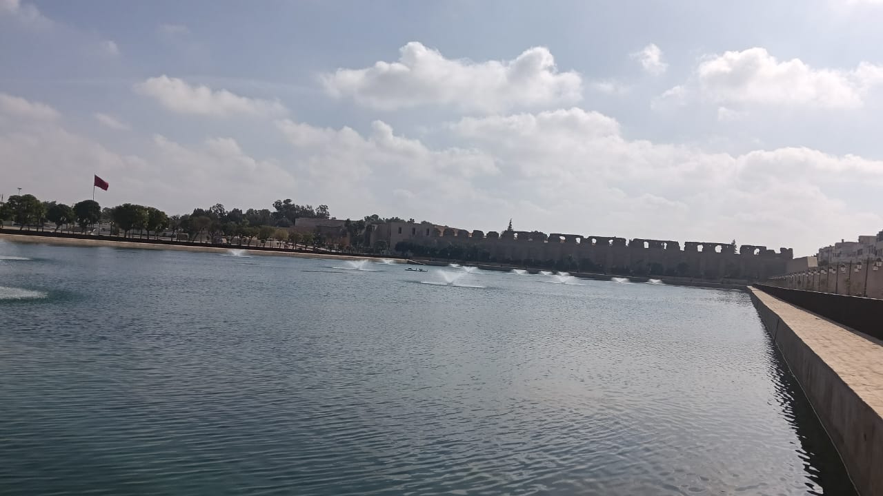 نباتات تطفو على سطح  صهريج السواني والحلول الممكنة لكي لا تعفن مياهه.