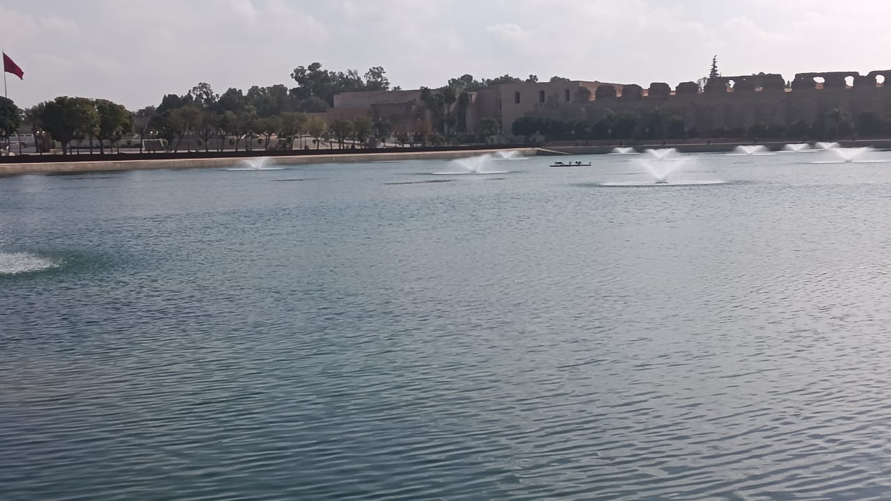 نباتات تطفو على سطح  صهريج السواني والحلول الممكنة لكي لا تعفن مياهه.