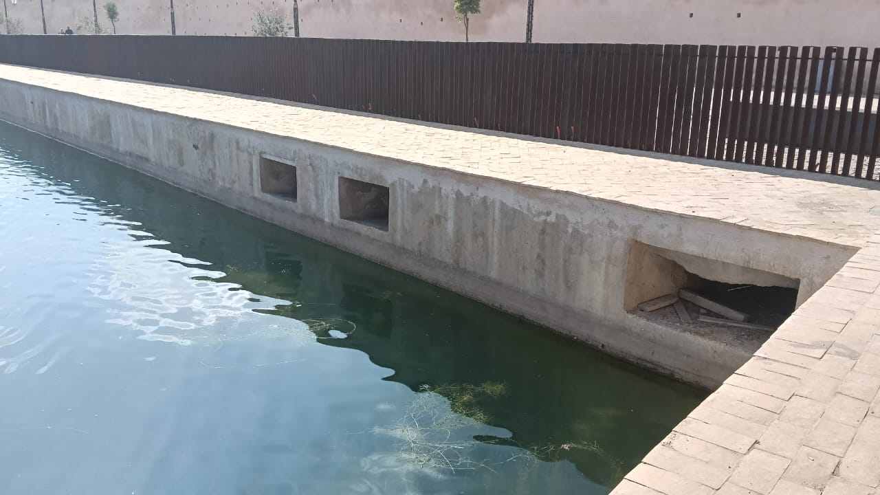 نباتات تطفو على سطح  صهريج السواني والحلول الممكنة لكي لا تعفن مياهه.