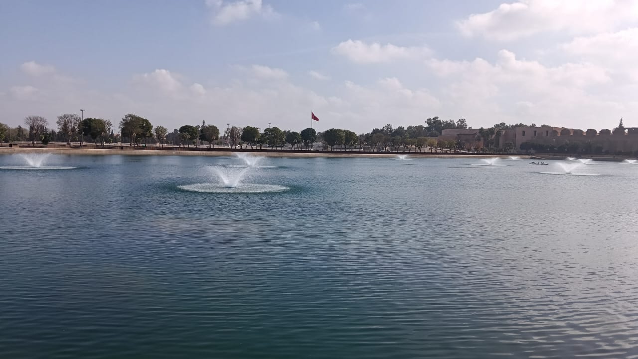 نباتات تطفو على سطح  صهريج السواني والحلول الممكنة لكي لا تعفن مياهه.