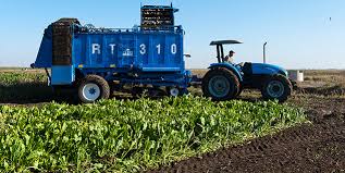 بوجدور.. مشاريع هيدرو-فلاحية كبرى من أجل فلاحة مستدامة في قلب الصحراء بوجدور.. مشاريع هيدرو-فلاحية كبرى من أجل فلاحة مستدامة في قلب الصحراء