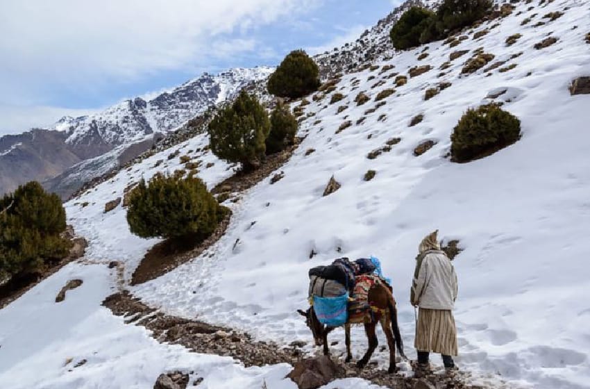 انطلاق عملية “رعاية 2025-2026” من أجل تعزيز خدمات صحة القرب للتكفل الصحي بساكنة المناطق المعرضة لآثار موجات البرد