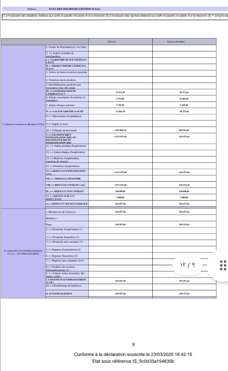 الحساب الختامي الاجمالي لسنة 2024 لشركة الفردوس ميديا